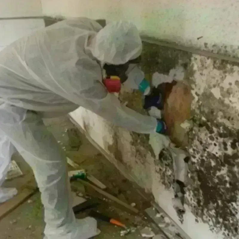 Mold Remediation and Removal in Housatonic, MA